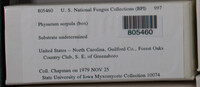Image Associated With the Occurence